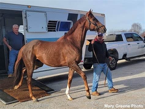 chanel turf|Champion Turf Male Channel Maker Arrives at Old Friends.